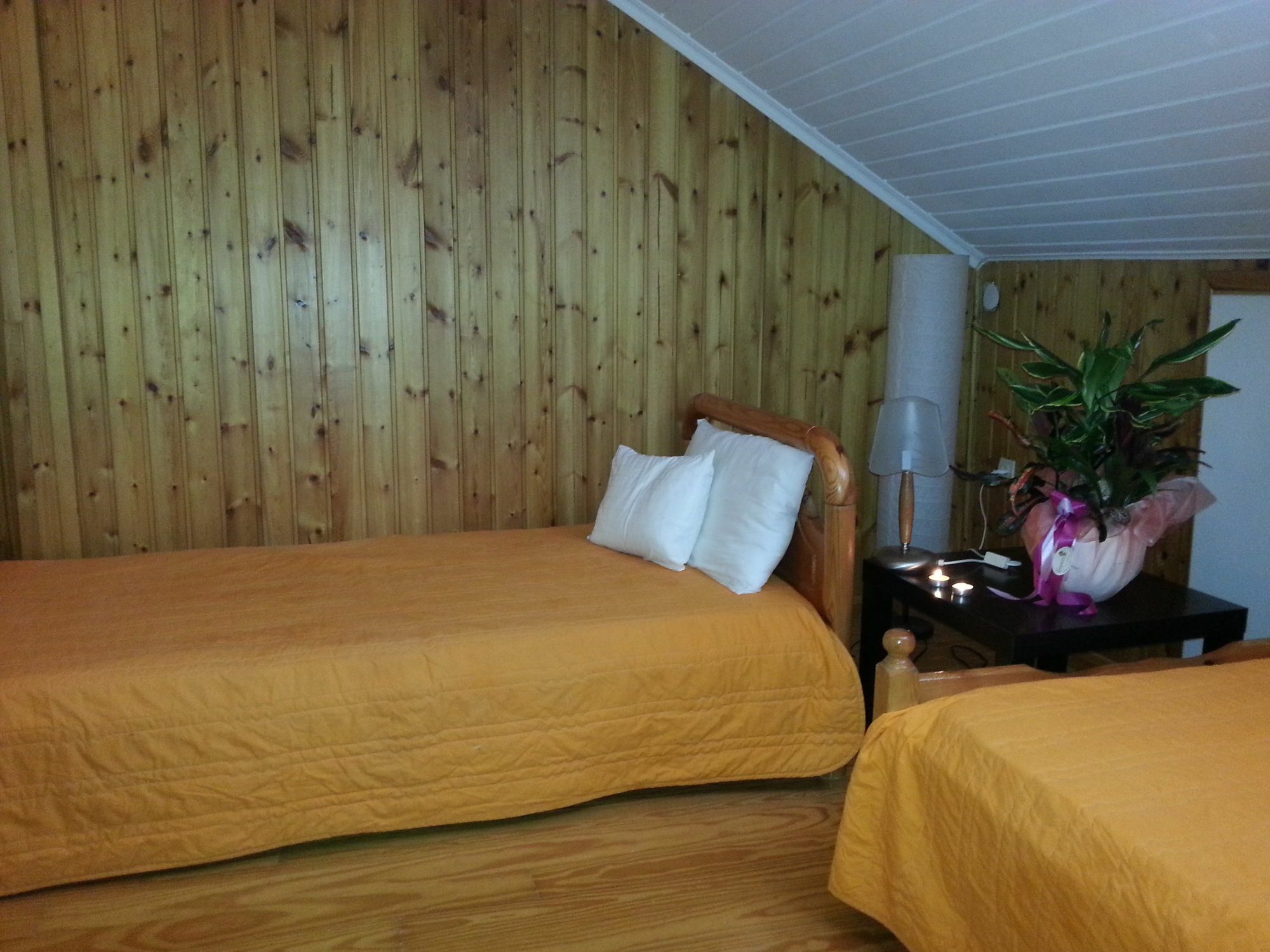 Lefkada Center Apartments エクステリア 写真
